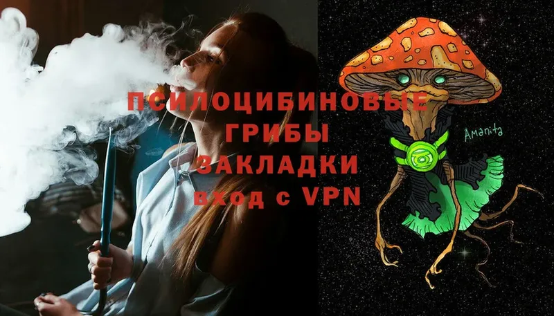 как найти наркотики  мориарти Telegram  Псилоцибиновые грибы MAGIC MUSHROOMS  Большой Камень 